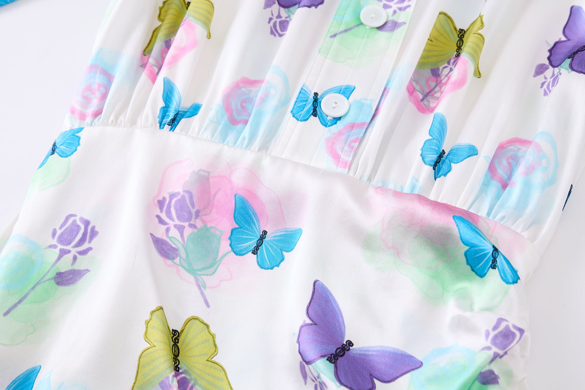 BUTTERFLY DREAM