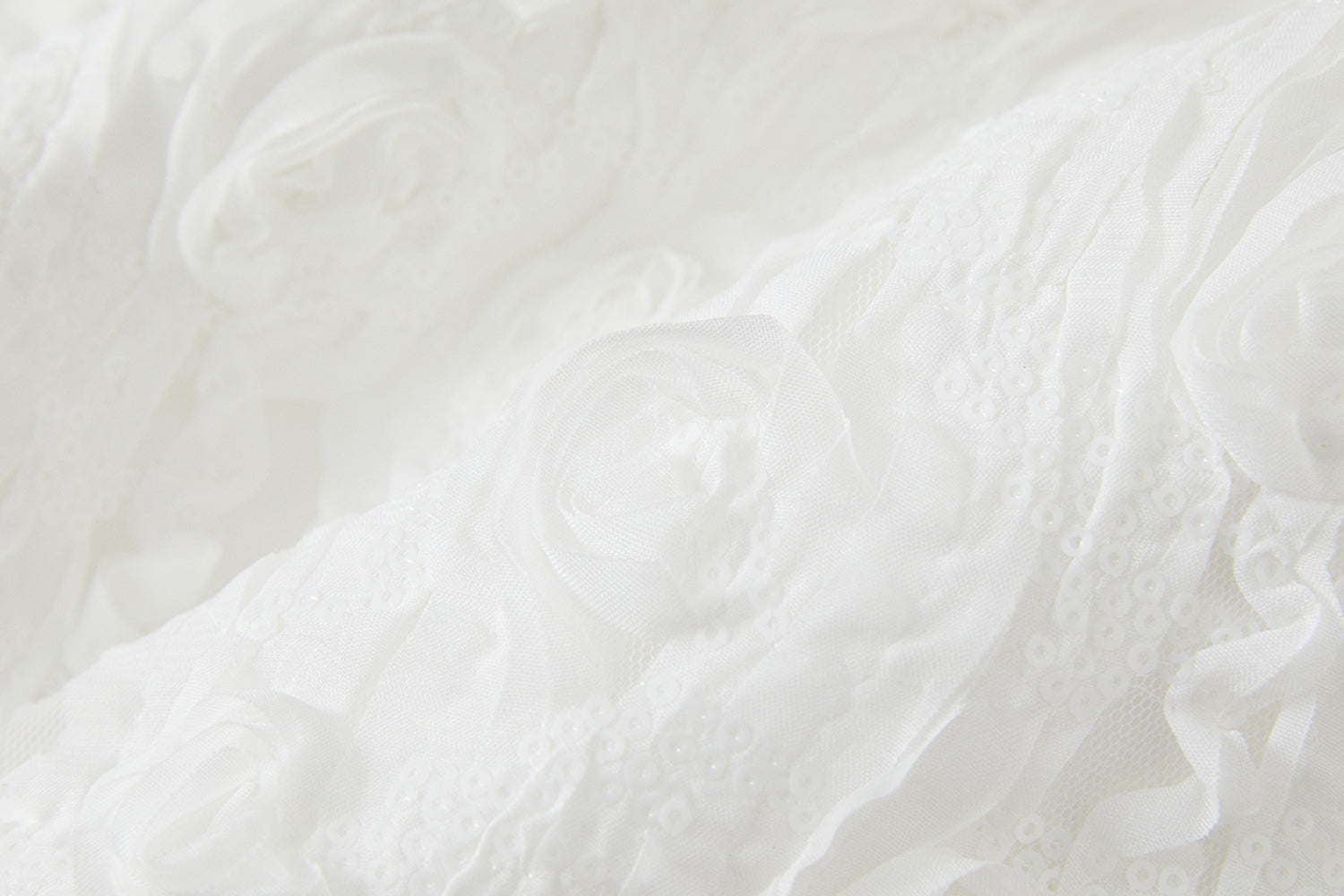 WHITE ROSE